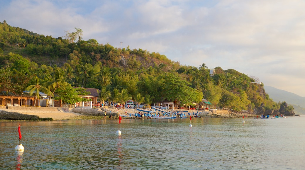 Oslob Beach showing general coastal views