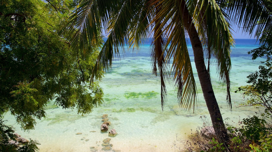 Oslob Beach which includes general coastal views