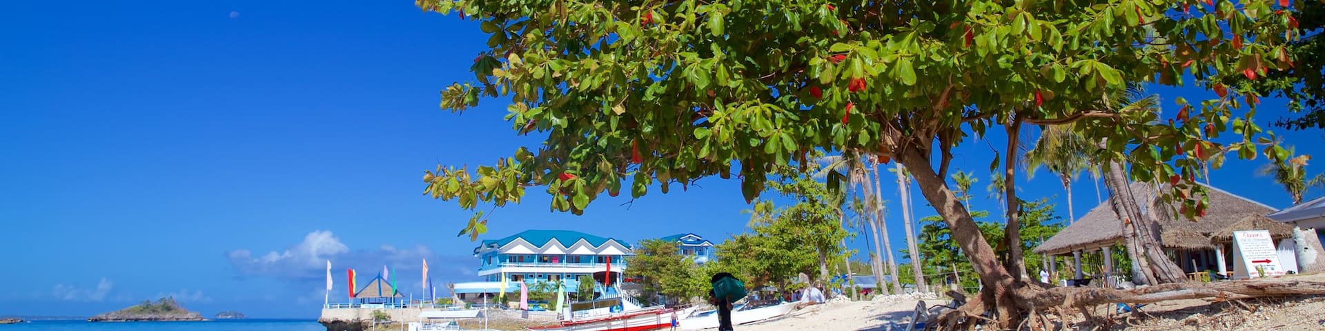 Bounty Beach showing general coastal views and a beach