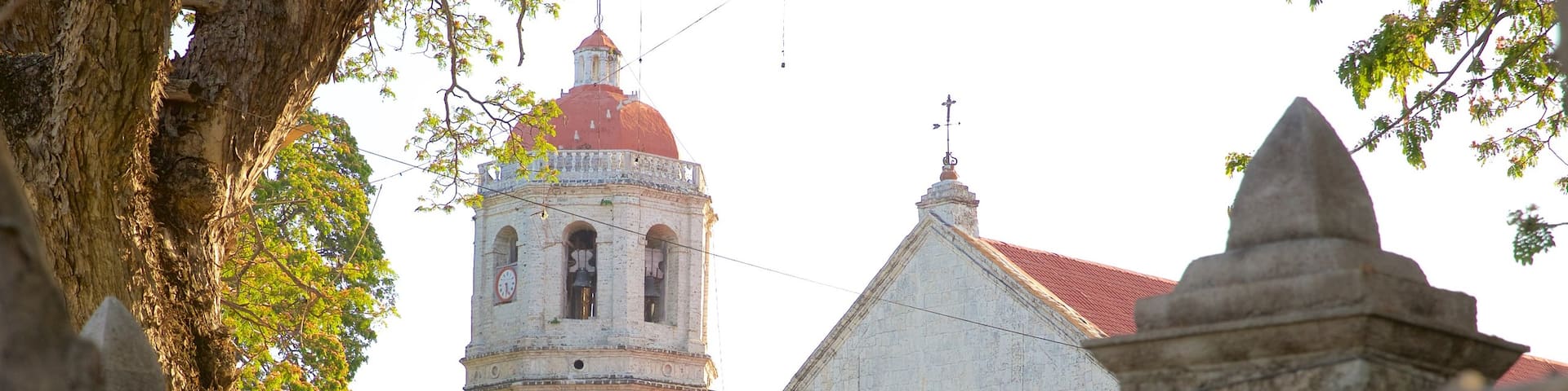 Dalaguete Church showing a church or cathedral, a sunset and religious elements