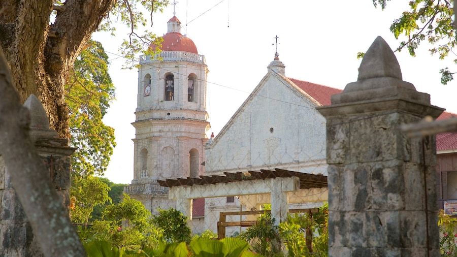 Eglise Dalaguete mettant en vedette église ou cathédrale, jardin et coucher de soleil
