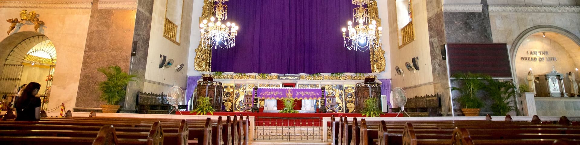 Minor Basilica of the Holy Child welches beinhaltet Innenansichten, religiöse Aspekte und Kirche oder Kathedrale