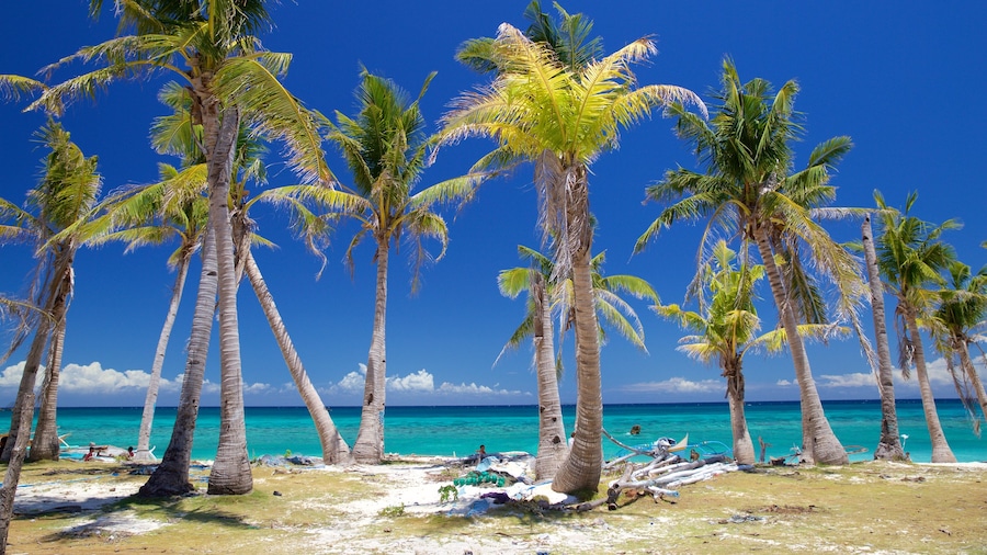 Guimbitayan Beach bevat algemene kustgezichten en tropische uitzichten