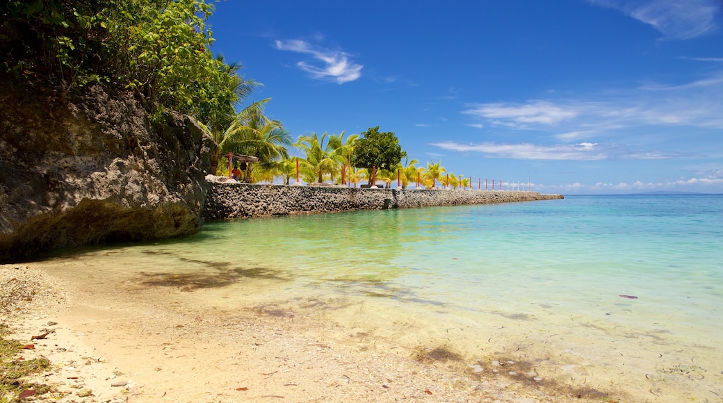 Calumboyan Public Beach which includes general coastal views and a sandy beach