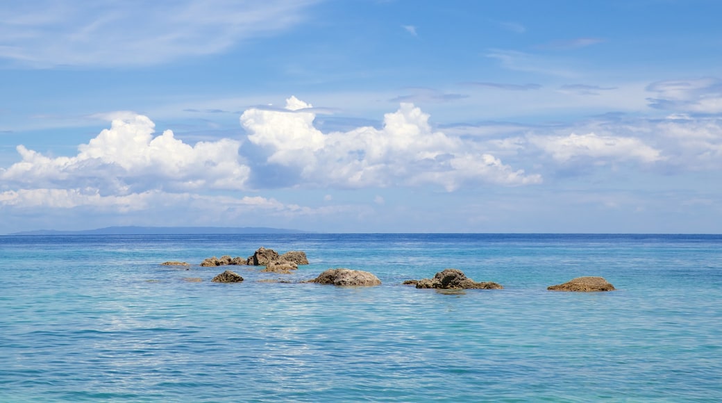 Calumboyan Public Beach showing general coastal views