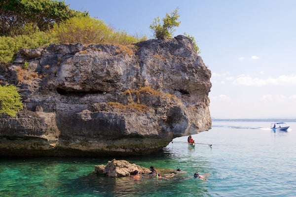 Pescador Island welches beinhaltet schroffe KĂŒste