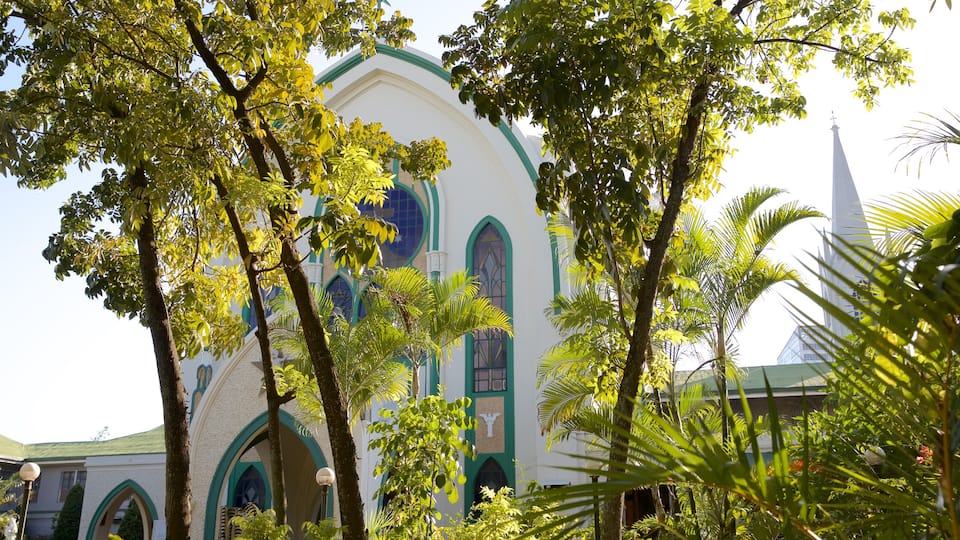 Monasterio de las Carmelitas mostrando aspectos religiosos, un parque y arquitectura patrimonial