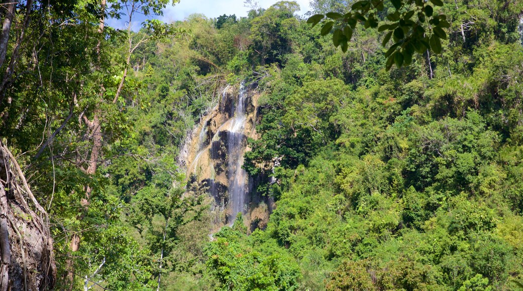 Tumalog Falls