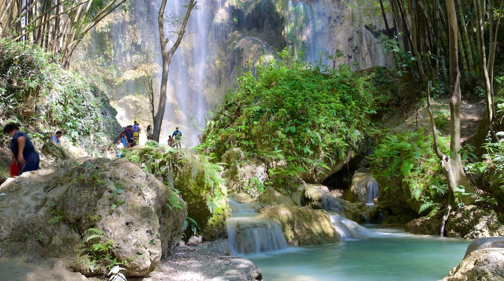 Oslob caracterizando uma cachoeira