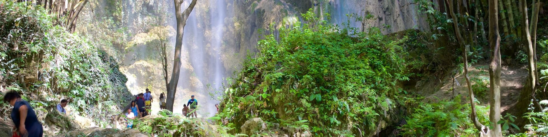 Oslob which includes a cascade