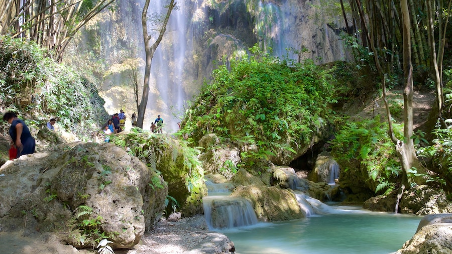 Oslob showing a cascade