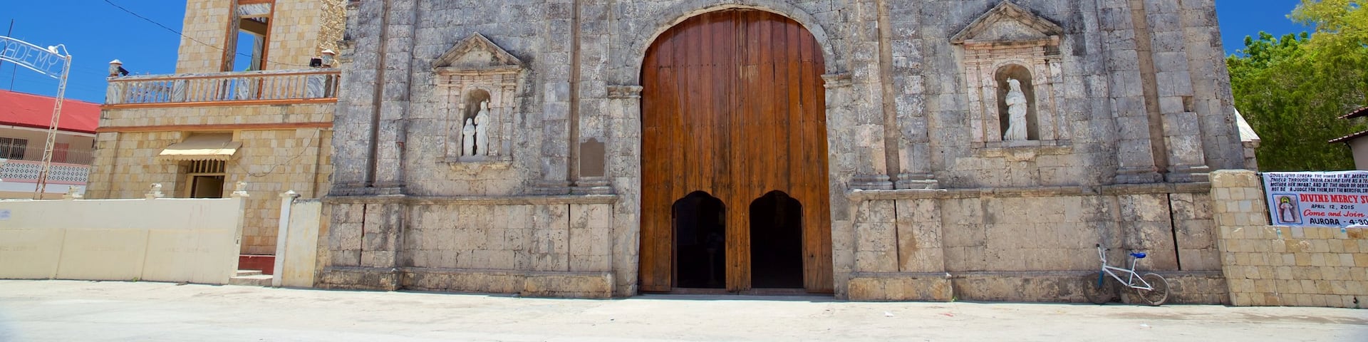 Cebu Island showing heritage architecture, religious elements and a church or cathedral