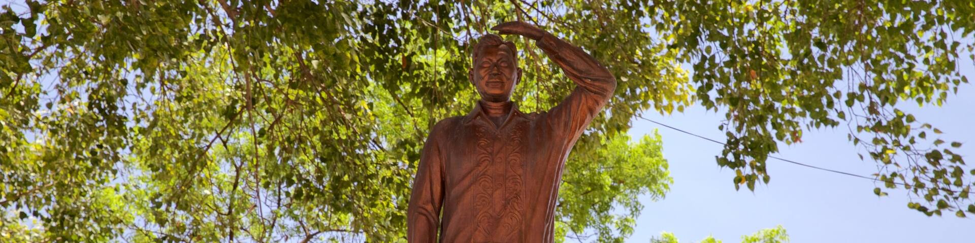 Cebu Island featuring a statue or sculpture