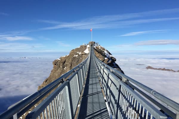 Les Diablerets featuring a suspension bridge or treetop walkway