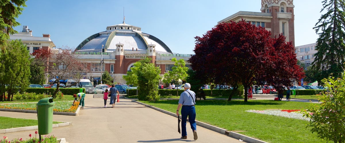 Ploiesti showing a garden
