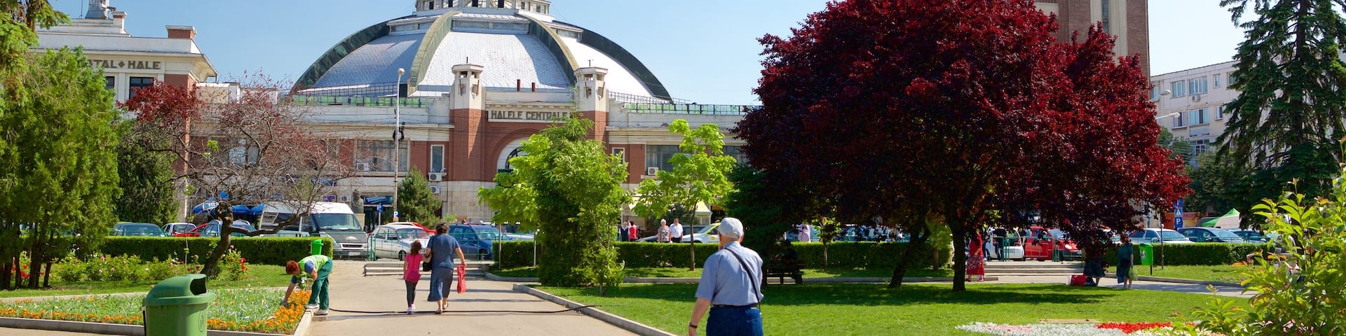 Ploiesti showing a garden