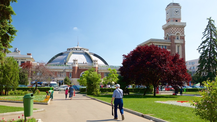 Ploiesti showing a park