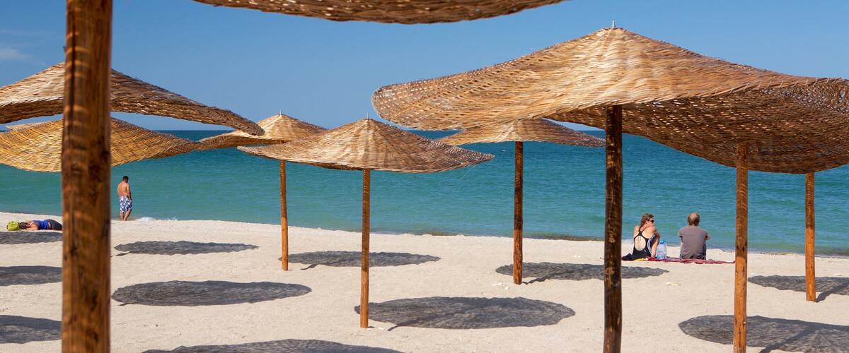 Vama Veche which includes a sandy beach and general coastal views