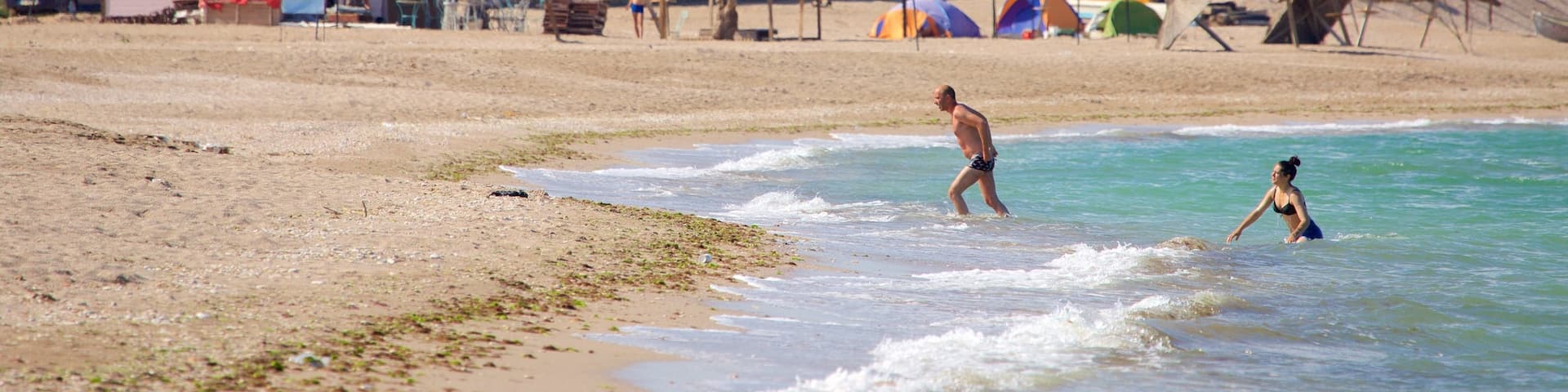 Vama Veche showing a beach and a coastal town