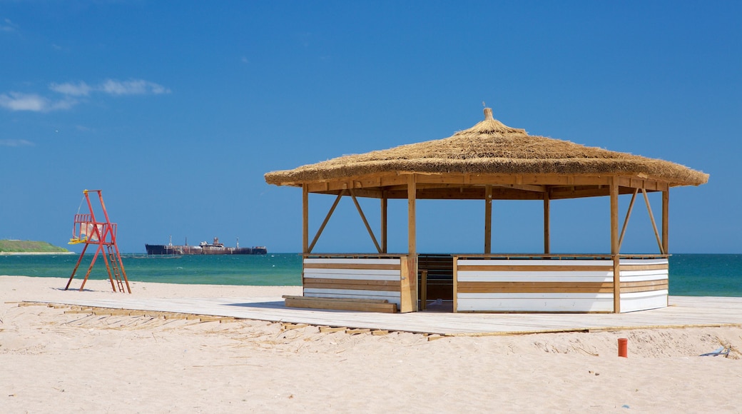 Strand van Costinesti toont een zandstrand