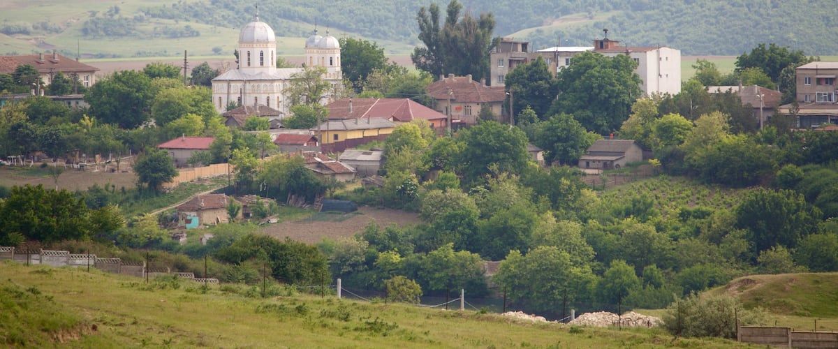 Adamclisi featuring a small town or village