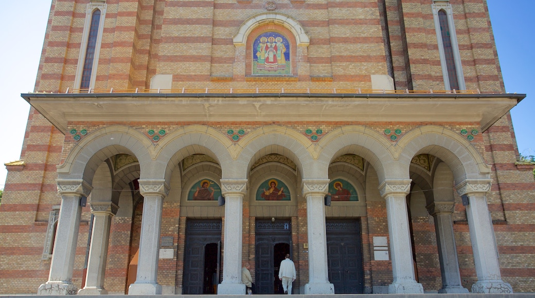 Timisoara showing heritage architecture