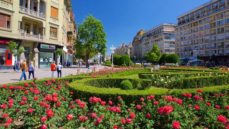 Piata Operei showing a city and a park