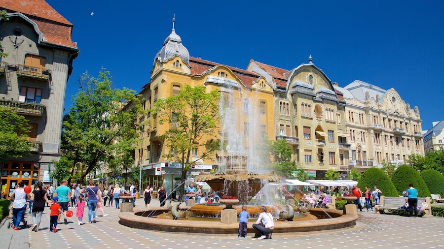 Piata Victoriei toont historische architectuur en een fontein