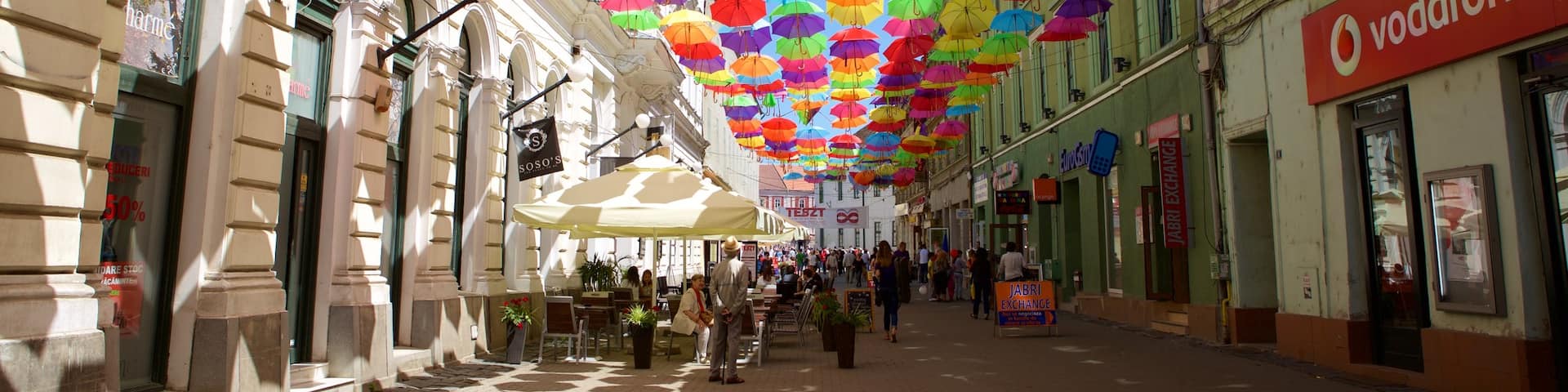 Timisoara mit einem Outdoor-Kunst