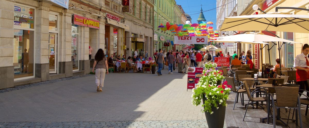 Timisoara