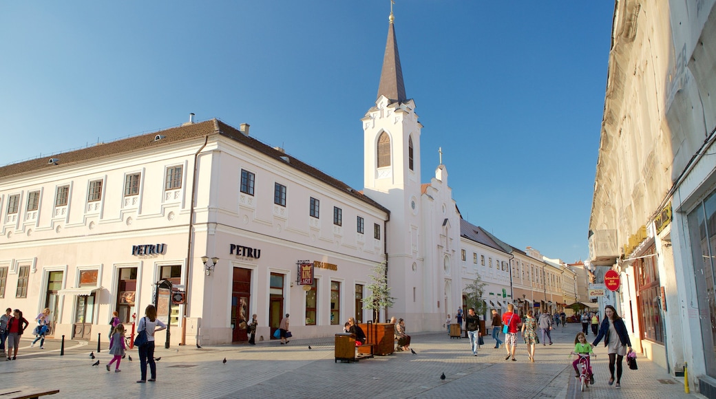 Oradea showing a sunset