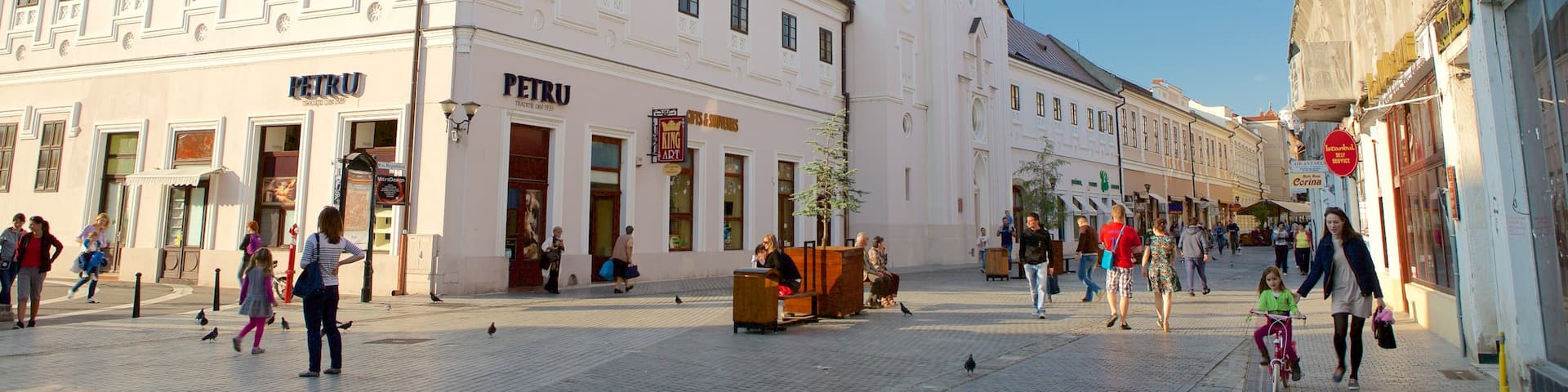 Oradea featuring auringonlasku