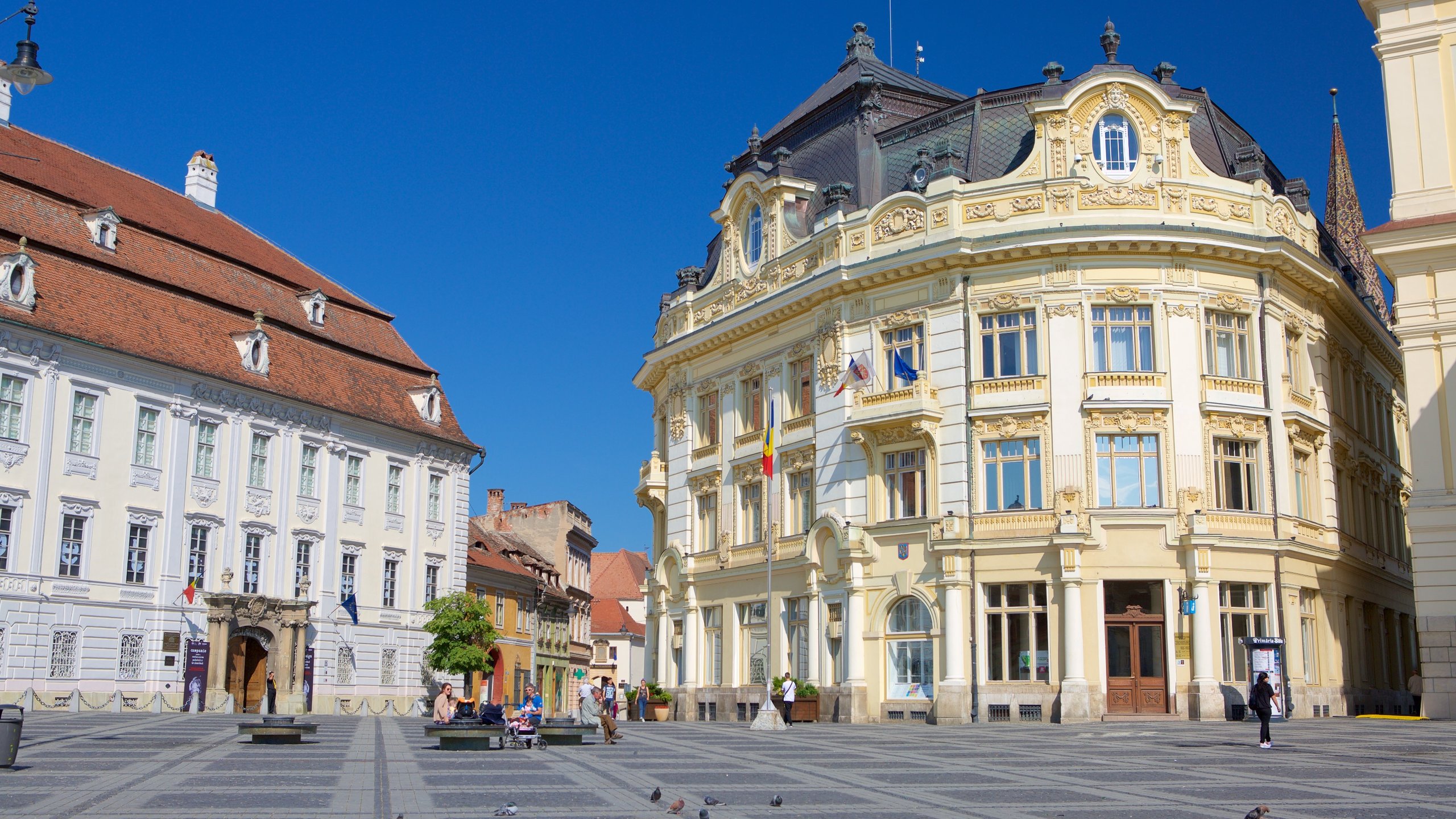 SIBIU, ROMANIA - AUGUST 26 Massimo Dutti Store On August 26, 2013 In Sibiu,  Romania Created In 1985 It Is A Spanish Company Belonging To The Inditex  Group Dedicated To The Manufacturing