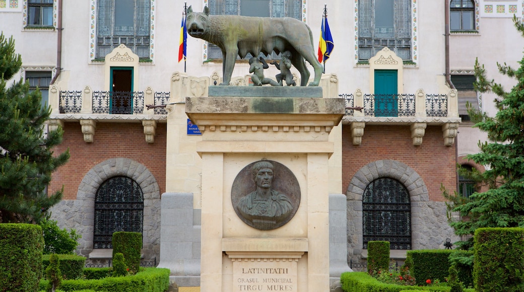 Tirgu Mures which includes a monument