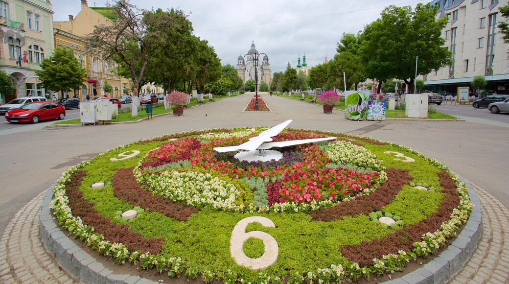 Tîrgu Mures ofreciendo un parque