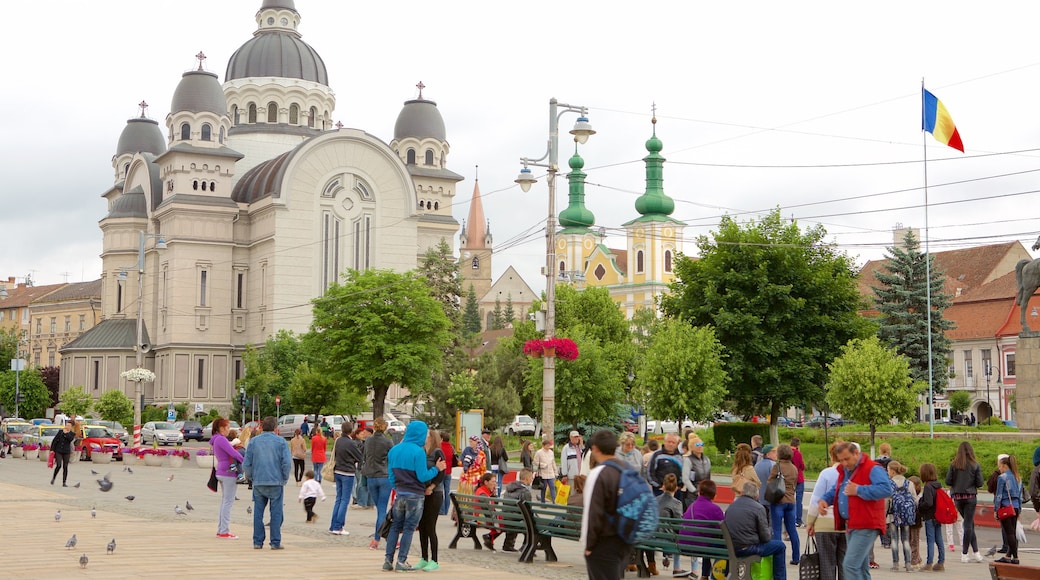 Tirgu Mures showing a square or plaza as well as a large group of people