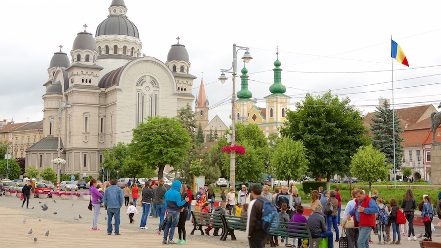 Tîrgu Mures mit einem Platz oder Plaza sowie große Menschengruppe