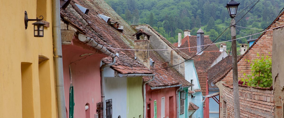 Sighisoara showing heritage architecture and a house