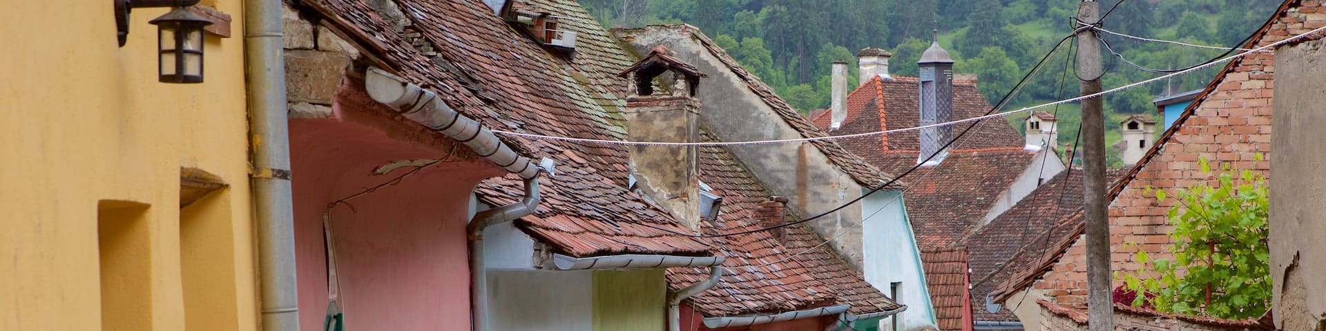 Sighisoara featuring heritage architecture and a house