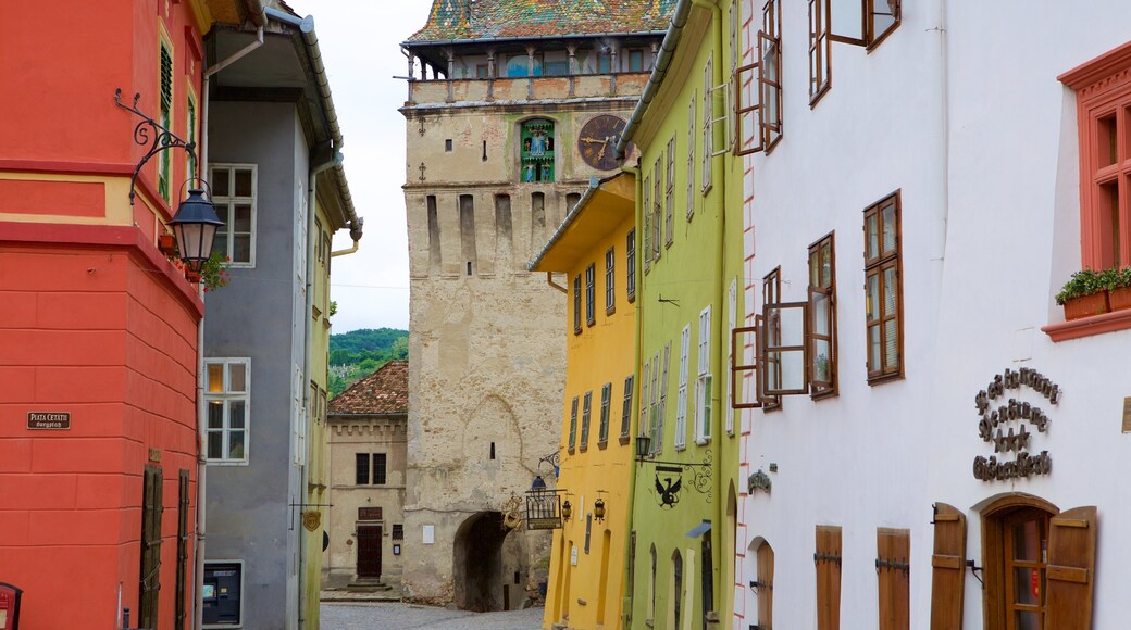 Sighisoara mostrando una casa