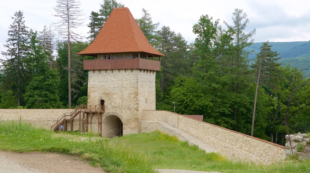 Fortaleza de Rasnov ofreciendo elementos del patrimonio