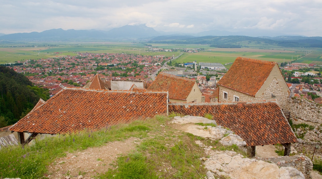 Fortaleza de Rasnov mostrando una casa y una pequeña ciudad o pueblo