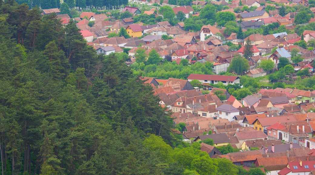 Rasnov som visar historisk arkitektur och ett hus