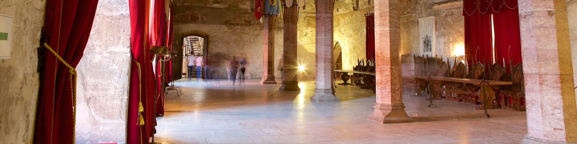 Hunedoara Castle which includes interior views