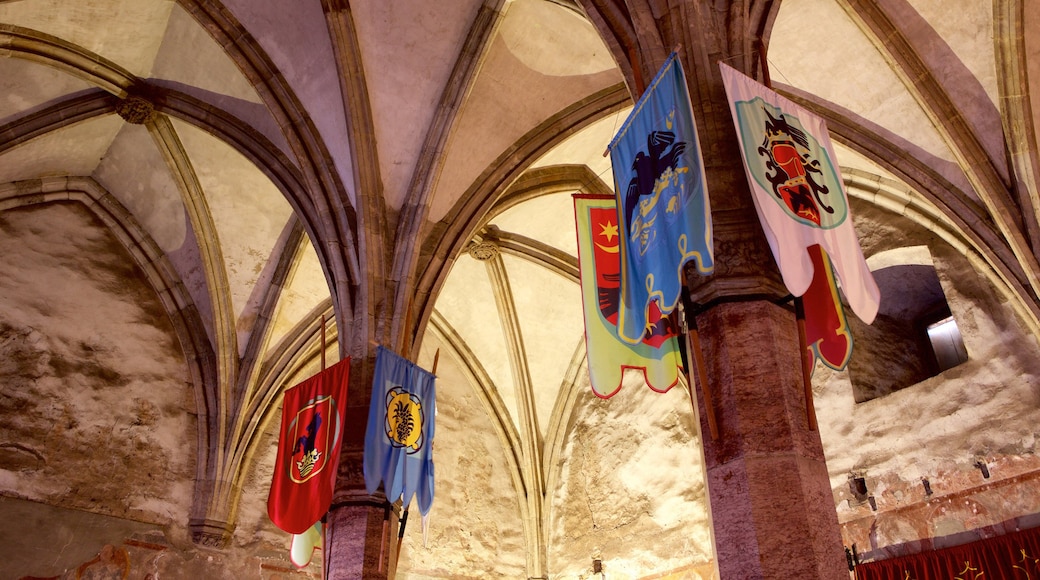 Hunedoara Castle featuring interior views