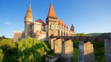 Hunedoara Castle featuring a bridge and a castle