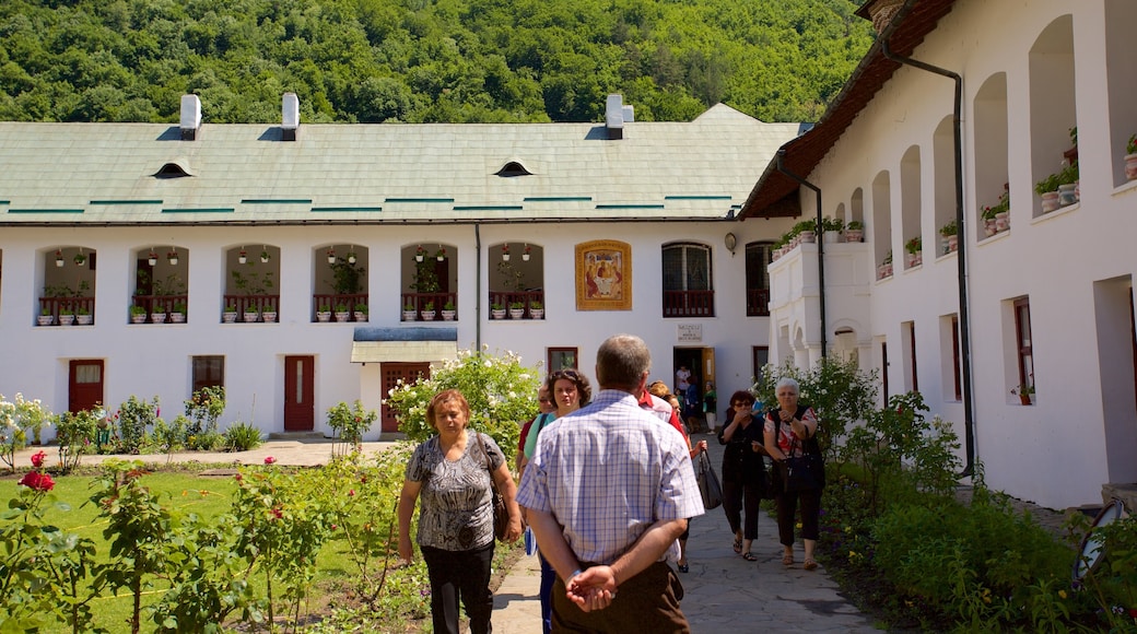 Monastero di Cozia mostrando parco cosi come un piccolo gruppo di persone