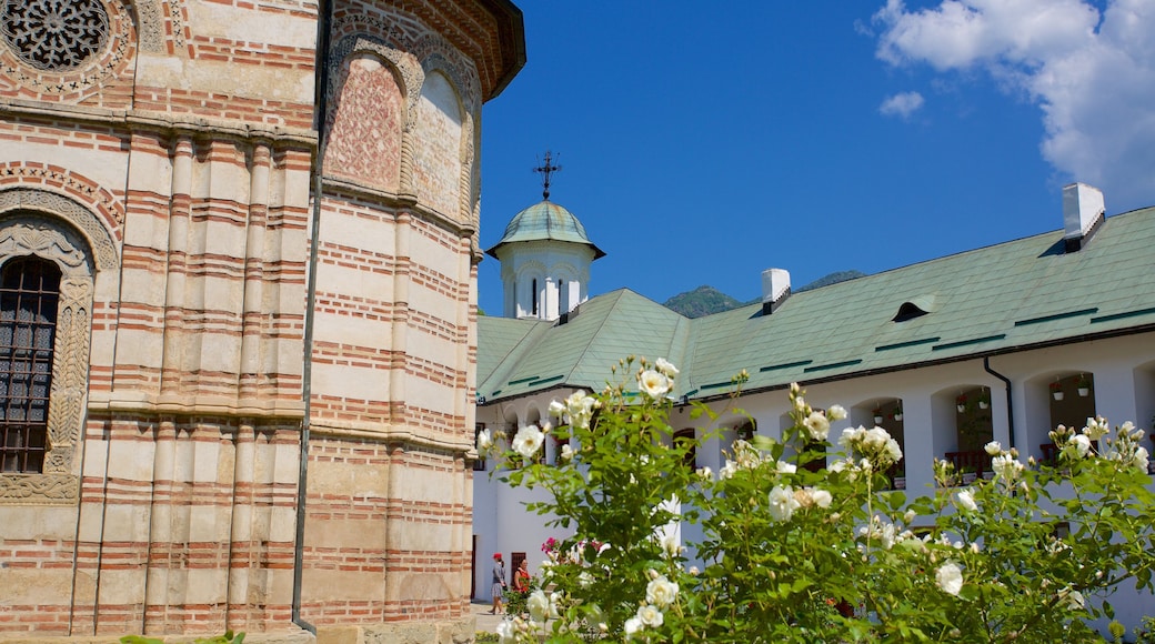 Cozia Monastery showing a garden