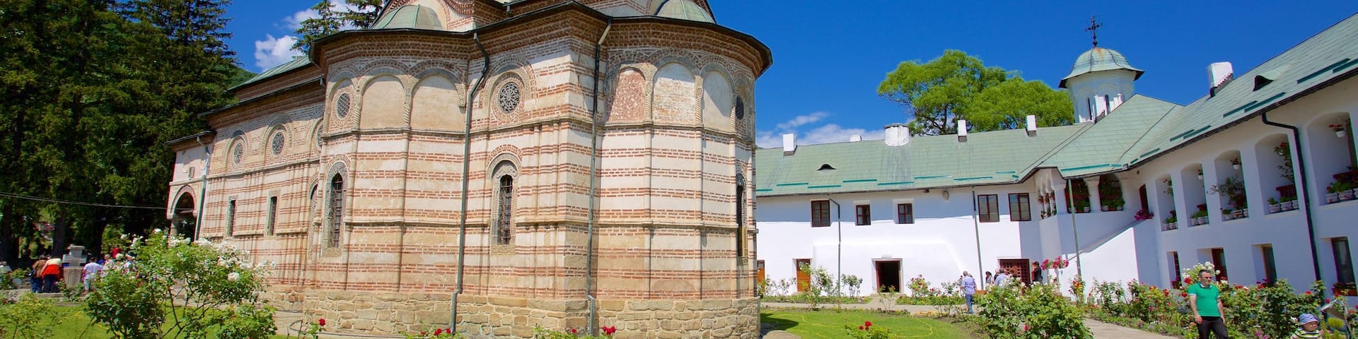 Cozia Monastery showing a garden