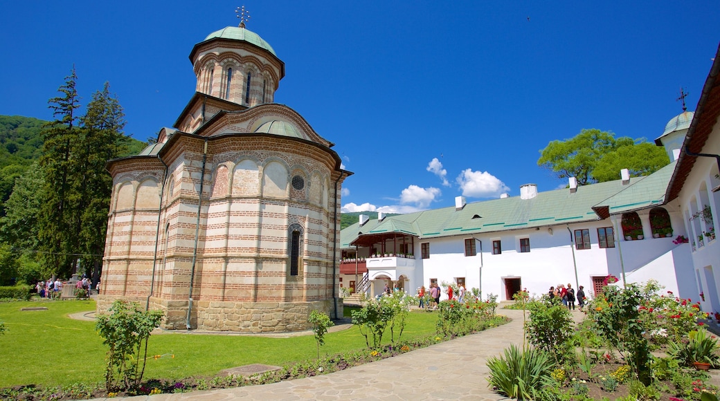 Cozia Monastery featuring a garden